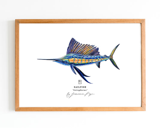 Sailfish Scientific Print