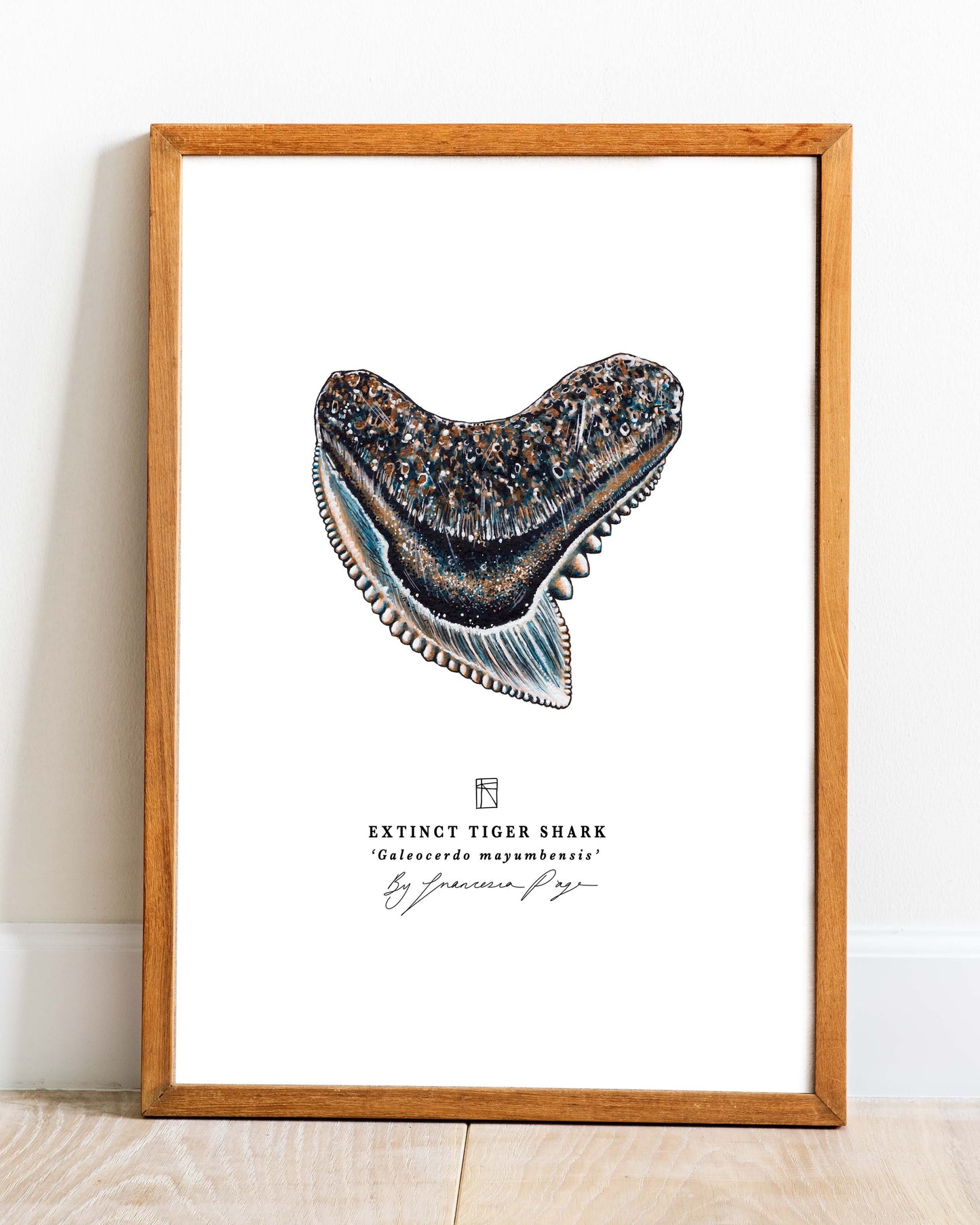 Extinct Tiger Shark Scientific Print