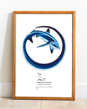 Load image into Gallery viewer, Thresher Shark Scientific Print
