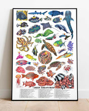 Load image into Gallery viewer, Reef Creatures Scientific Print
