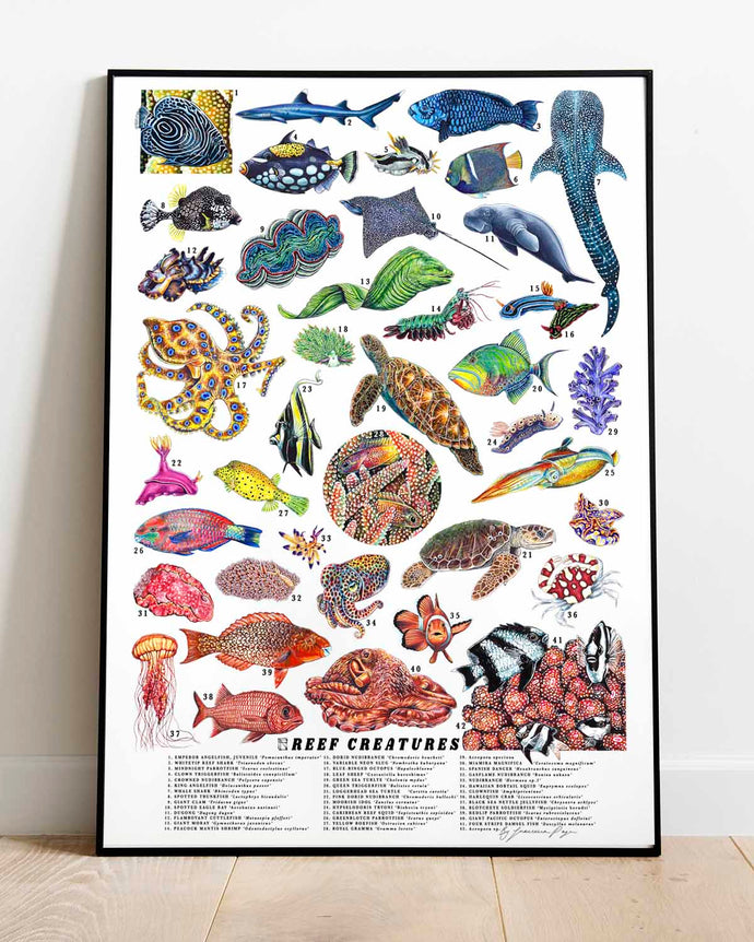 Reef Creatures Scientific Print