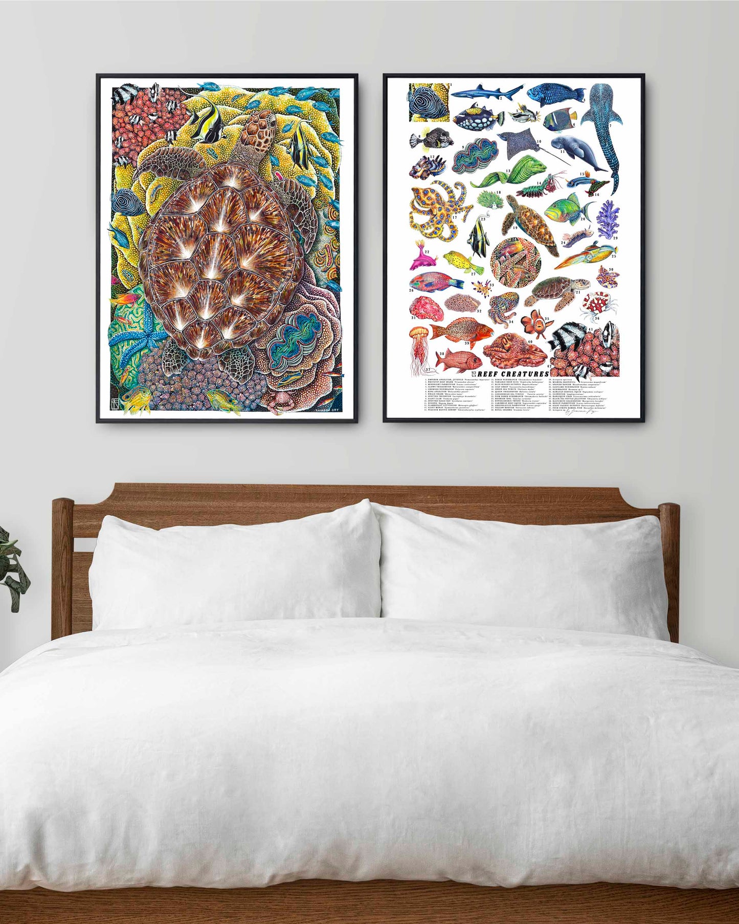 Reef Creatures Scientific Print