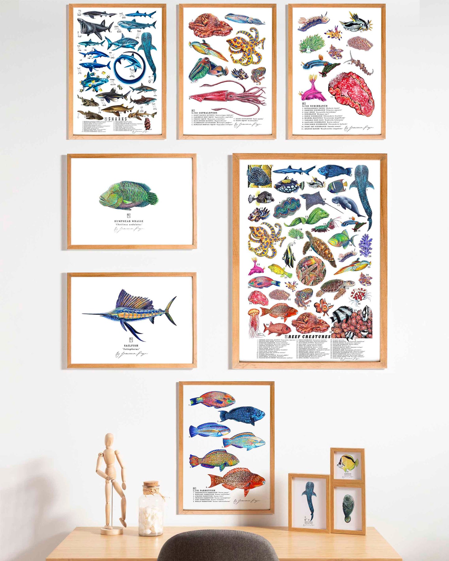 Reef Creatures Scientific Print