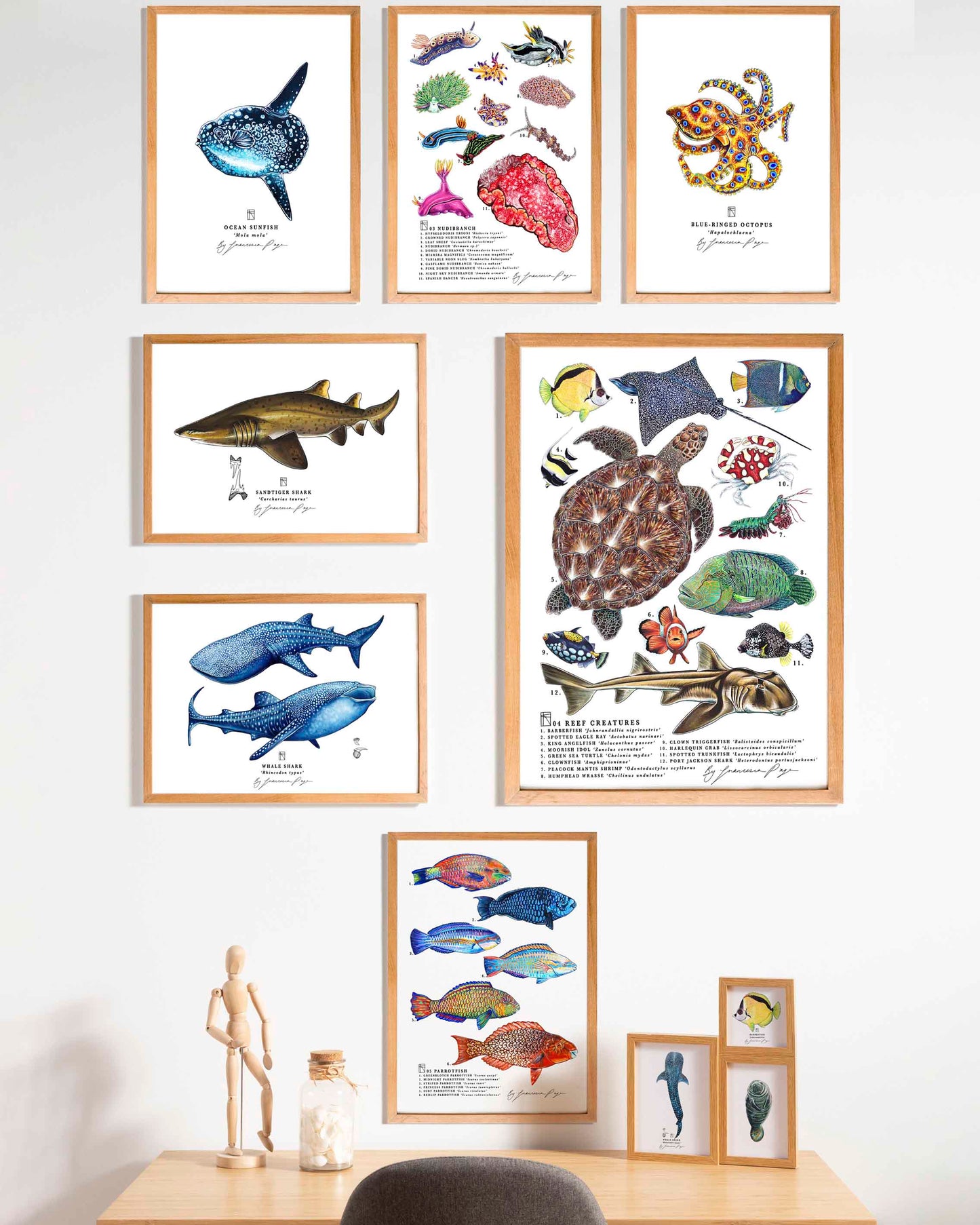 04 Reef Creatures Scientific Print