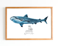 Load image into Gallery viewer, Tiger Shark Scientific Print
