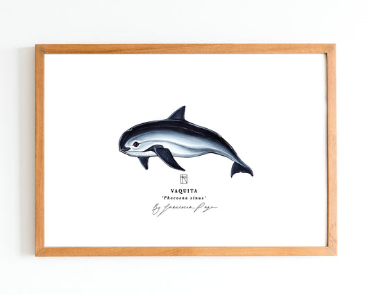 Vaquita Scientific Print