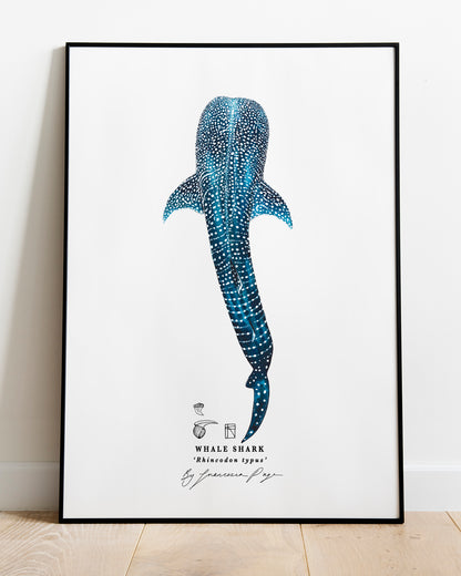 Whale Shark Scientific Print