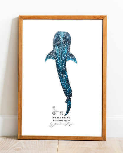 Whale Shark Scientific Print