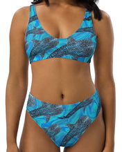 Load image into Gallery viewer, Groovy Whale Shark Eco bikini Top
