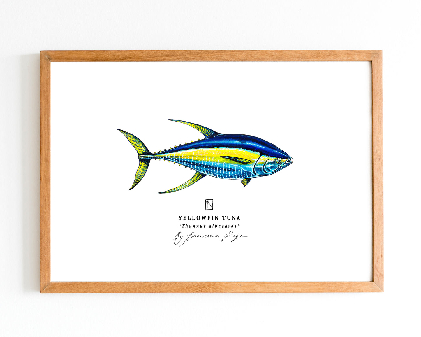 Yellowfin Tuna Scientific Print