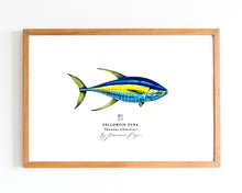 Load image into Gallery viewer, Yellowfin Tuna Scientific Print
