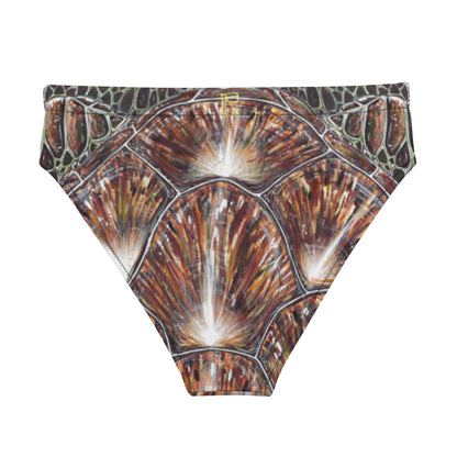 Turtle Shell Eco Bikini Bottom