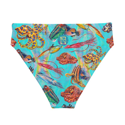 Cephalopod Bikini Bottom