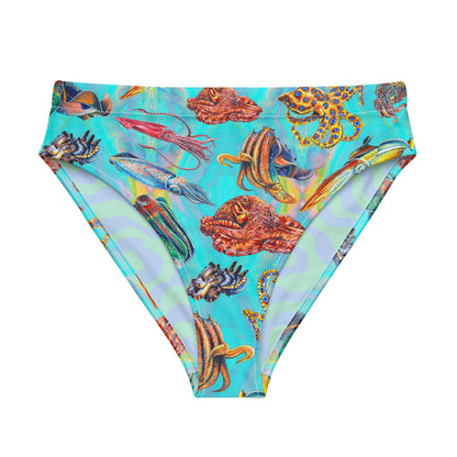 Cephalopod Bikini Bottom