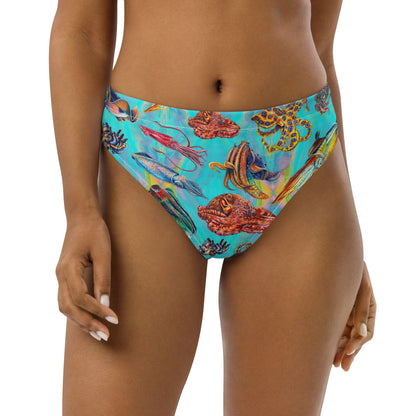 Cephalopod Bikini Bottom