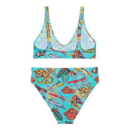 Cephalopod Eco Bikini Set