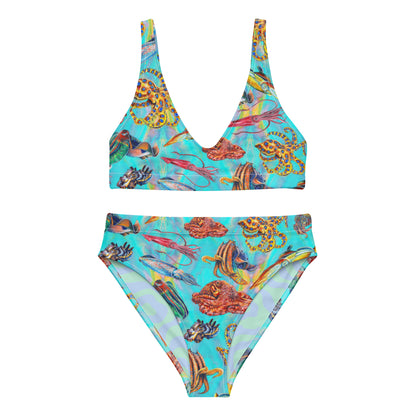 Cephalopod Eco Bikini Set