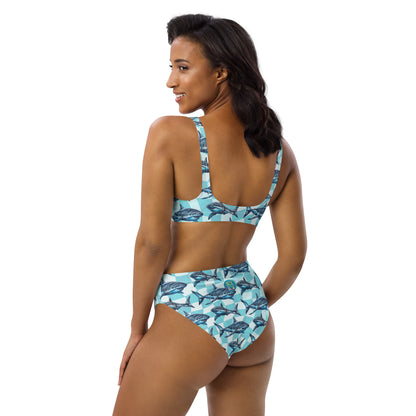 Great White Shark Eco Bikini Set