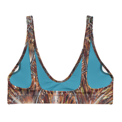 Turtle Shell Eco Bikini Top