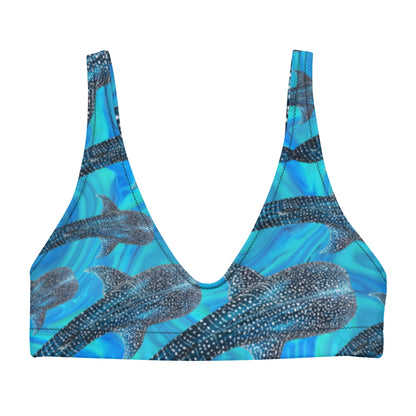 Groovy Whale Shark Eco bikini Top