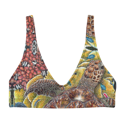 Rainbow City Eco Bikini Top