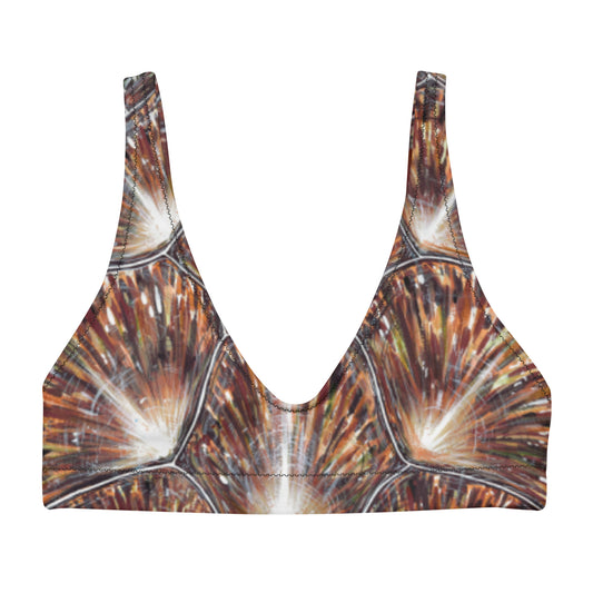 Turtle Shell Eco Bikini Top