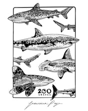 Load image into Gallery viewer, 200 Sharks Poster
