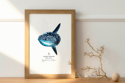 Ocean Sunfish Scientific Print