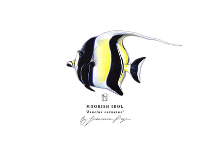 Moorish Idol Scientific Print