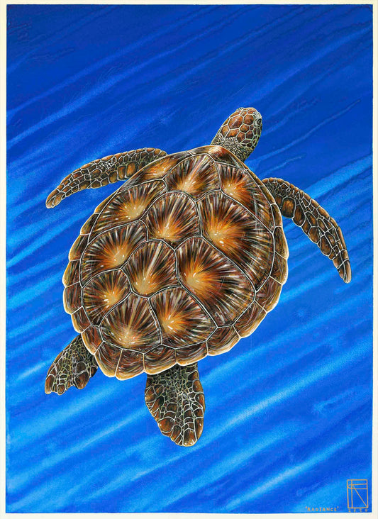 'Radiance' - A1 Original Painting