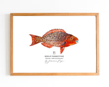 Load image into Gallery viewer, Redlip Parrotfish Scientific Print
