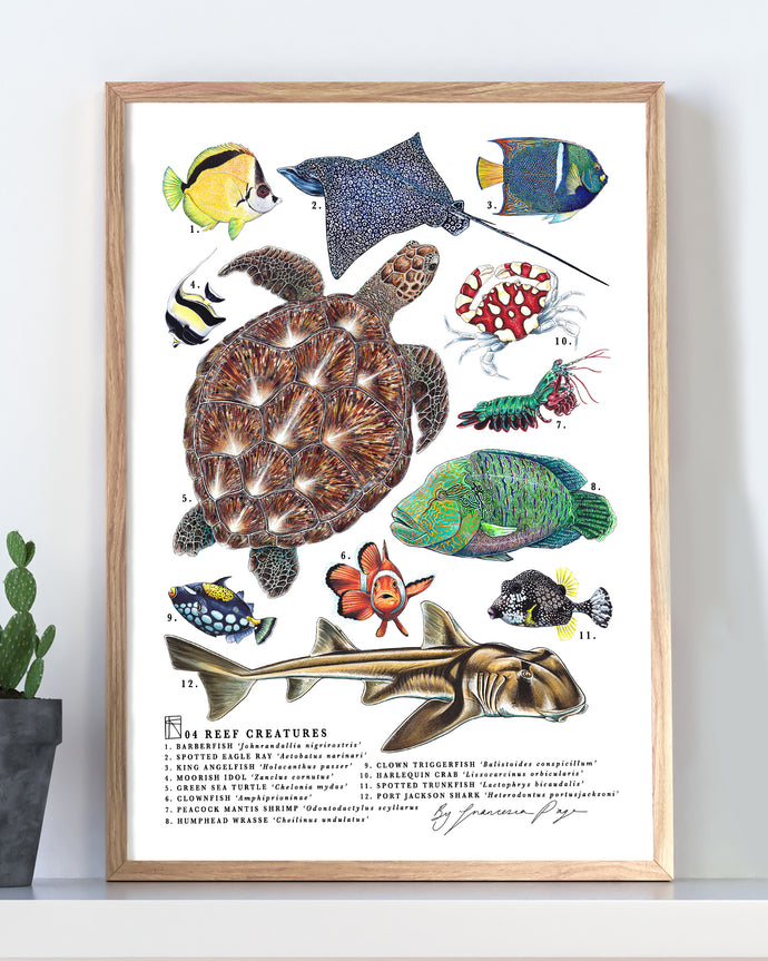 04 Reef Creatures Scientific Print
