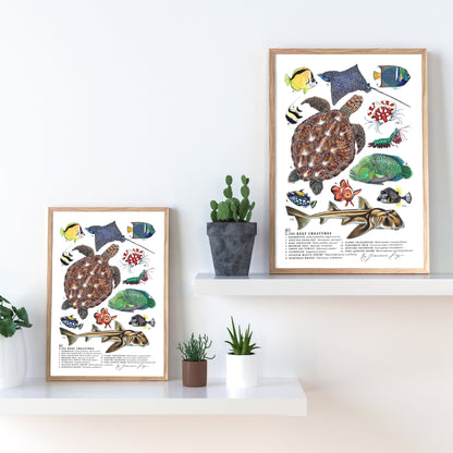 04 Reef Creatures Scientific Print