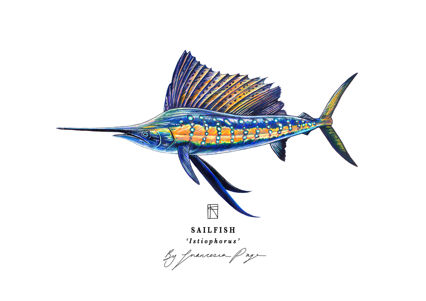 Sailfish Scientific Print