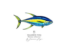 Load image into Gallery viewer, Yellowfin Tuna Scientific Print
